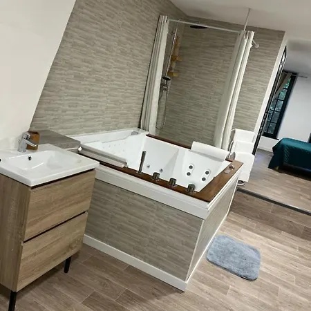 Magnifique Loft 35m2 Jacuzzi Rvb Night 1 *