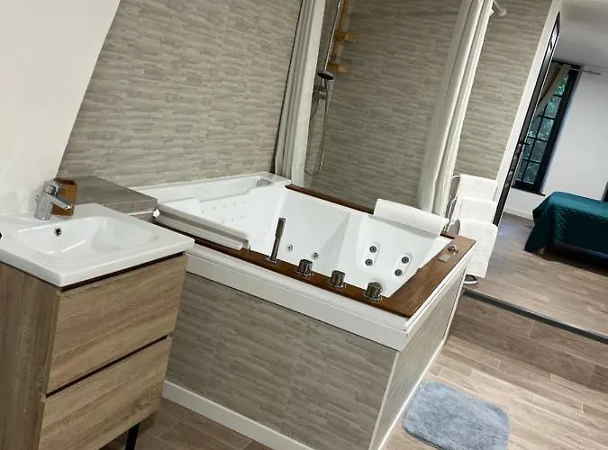 Magnifique Loft 35m2 Jacuzzi Rvb Night 1 Etablissement Ferme Definitivement *