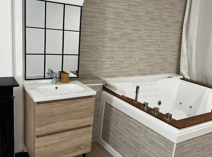 Magnifique Loft 35m2 Jacuzzi Rvb Night 1 Etablissement Ferme Definitivement * Amiens